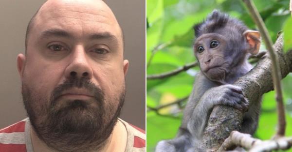 ‘Gentle giant’ Peter Stanley hid a secret obsession with baby monkey torture videos on Facebook (Picture: PA/Getty)