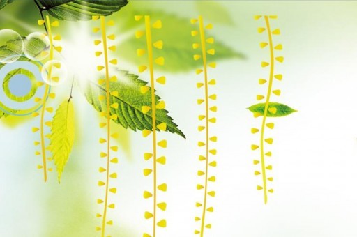 《妈妈让我戴上避孕套》歌词：解析大胆歌词背后的文化深意，幽默风趣惹人笑！